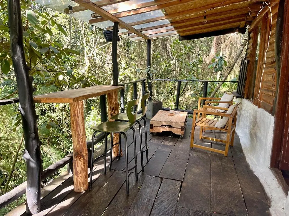 Apartment Forest Cabin Nature Retreat Rionegro Colombia