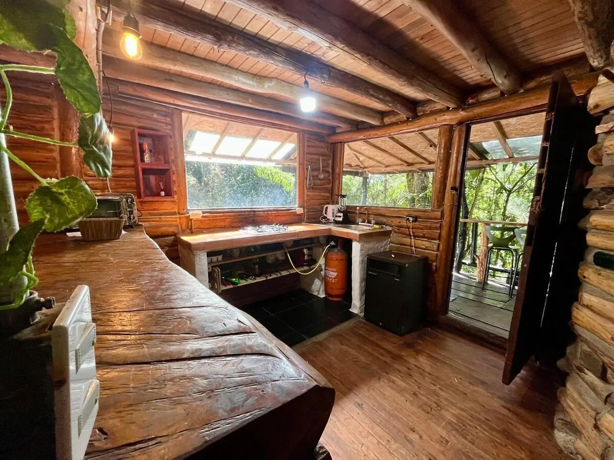 Forest Cabin Nature Retreat Rionegro Apartment